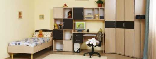 Features of furniture from chipboard, selection tips