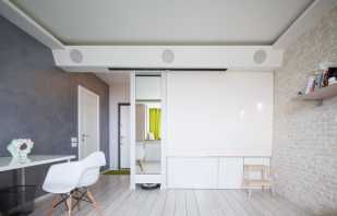 Pilihan untuk mengatur perabot di apartmen satu bilik, tip reka bentuk