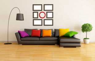 A escolha da cor do sofá, tendo em conta as características do interior, soluções populares
