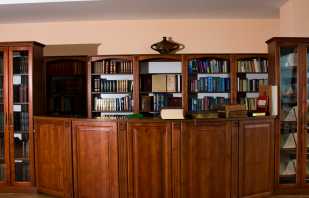 Visão geral do mobiliário da biblioteca, requisitos básicos de design