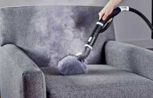 Como remover um odor desagradável de um sofá, limpando com remédios populares