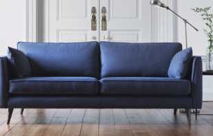 Bagaimana untuk memilih sofa biru untuk pedalaman, kombinasi warna yang berjaya