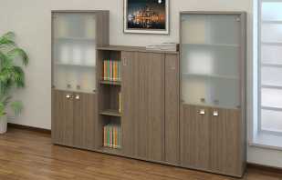 What are the cabinets for documents in the office, a review of models