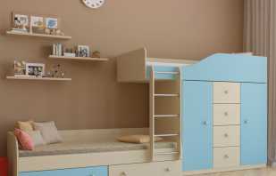 Existing bunk beds with wardrobe and their characteristic features