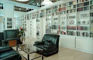 Har bokhyllor och bibliotek för hemmet, en genomgång av modeller