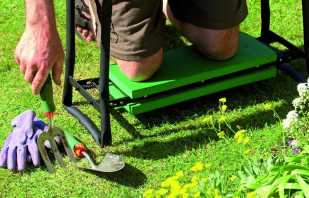 Jak zrobić uniwersalną ławkę do ogrodu własnymi rękami