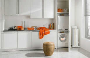Kādi ir veļas mazgājamās mašīnas skapīši, izvēles noteikumi