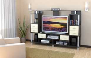 Televizora mēbeļu veidi, viesistabas dizains