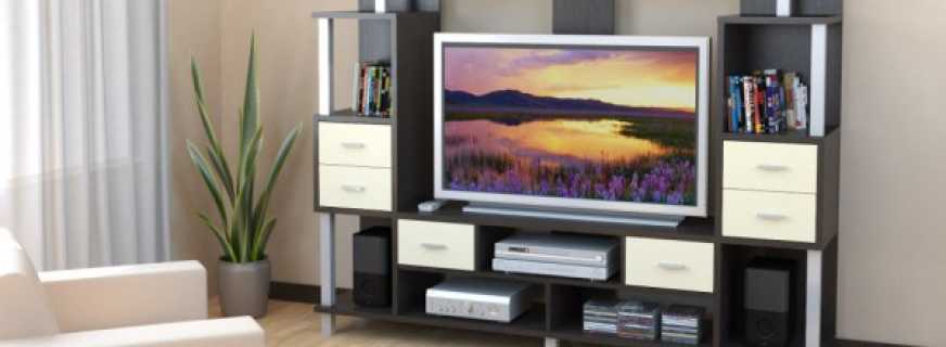 Televizora mēbeļu veidi, viesistabas dizains