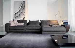 Mūsdienu viesistabas dīvānu modeļi - padomi izvēlei un ievietošanai