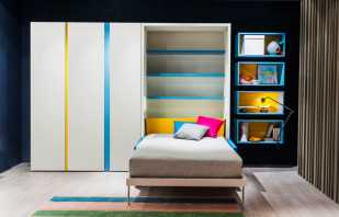 Le choix d'un lit armoire enfant, en tenant compte de l'âge de l'enfant, du design de la chambre