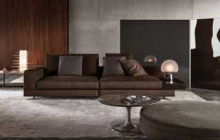 Interiör med en brun soffa, reglerna för val och plats