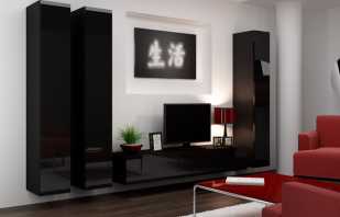 Valet av glansiga möbler i vardagsrummet, fördelarna med sådana mönster
