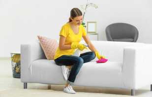 Kā ātri un efektīvi iztīrīt dīvānu mājās, padomi