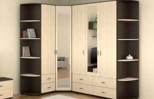 Options for corner cabinets with mirror, model overview