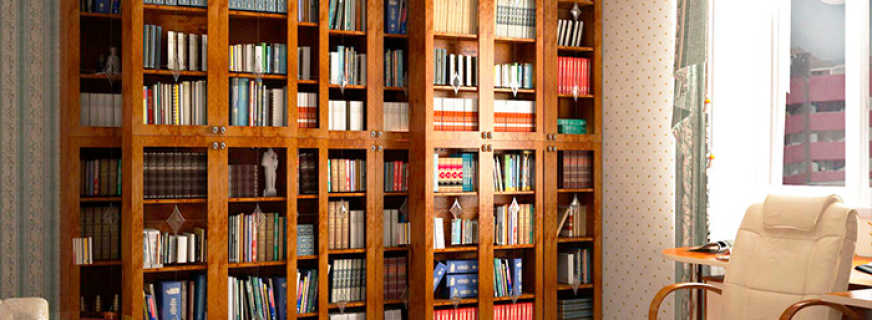 Kas ir bibliotēkas skapji, pārskats par modeļiem
