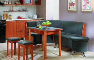 How to choose upholstered furniture in the kitchen, a review of models