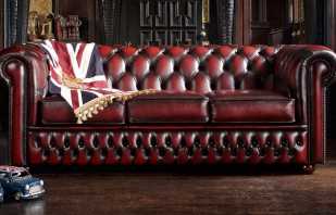 Varieti sofa Chester, ciri-ciri mereka, kelebihannya