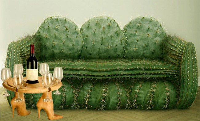 Kaktusa dīvāns