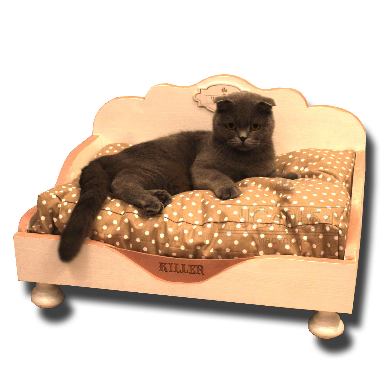 Elitārā kaķu gulta